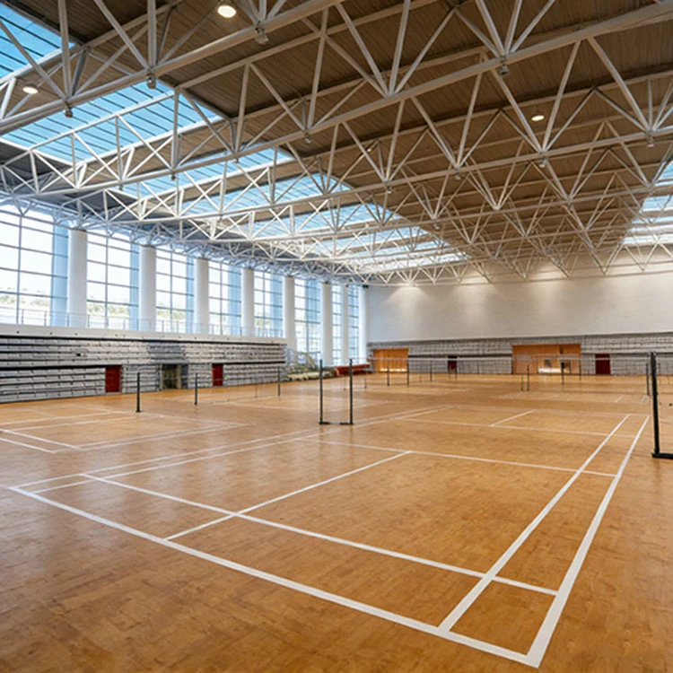 Steel Structure Gymnasium best